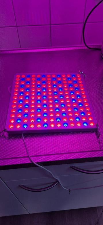LED Plant Lamp Roleadro 2 Stuks Plant Licht met Rood Blauw beschikbaar voor biedingen