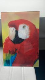 Schilderij plexiglas, Antiek en Kunst, Kunst | Schilderijen | Modern, Ophalen of Verzenden