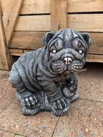 betonnen mopshond 25hoog 30breed/Nieuw!, Tuin en Terras, Ophalen, Woondecoratie eindhoven, Nieuw, Woondecoratie eindhoven