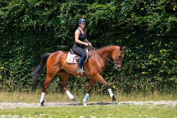 Opvallend brave recreatie ruin met gouden hartje!!  beschikbaar voor biedingen