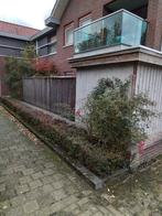 Gratis, zelf demonteren., Ophalen, 250 tot 500 cm, Hout, 200 tot 400 cm