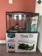 Aquarium Platy 70 liter met filter Eheim aquaball 130, Dieren en Toebehoren, Vissen | Aquaria en Toebehoren, Ophalen, Zo goed als nieuw
