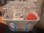 Hamsterkooi, Kooi, Minder dan 75 cm, Zo goed als nieuw, Ophalen