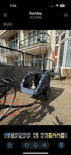 Fietskar voor huisdieren / Pet trailer for bike, Ophalen, Zo goed als nieuw, 80 kg of meer