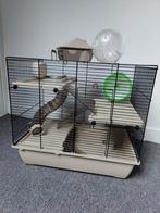 Hamster kooi met geruisloos looprad en speelbal, Kooi, Minder dan 75 cm, Minder dan 60 cm, Zo goed als nieuw