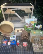 Hamsterkooi / muizenkooi met veel accessoires, Dieren en Toebehoren, Kooi, Minder dan 75 cm, Zo goed als nieuw, Hamster