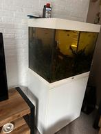 Juwel lido 200 incl pomp, Dieren en Toebehoren, Vissen | Aquaria en Toebehoren, Ophalen, Zo goed als nieuw, Gevuld zoetwateraquarium