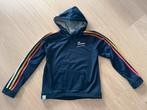 Prachtig blauwe sweater met capuchon van Sturdy, maat 140, Kinderen en Baby's, Kinderkleding | Maat 140, Ophalen of Verzenden