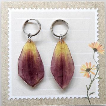 Paars/gele Dahlia gedroogde bloem blad ring oorbellen  beschikbaar voor biedingen