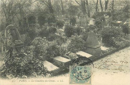 (701-480-025) Paris Cimetiere des Chiens, Verzamelen, Ansichtkaarten | Buitenland, Frankrijk, Verzenden