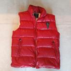 Gratis: heren bodywarmer, Ophalen, Stangata, Maat 48/50 (M), Gedragen