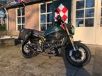 Benelli LEONCINO 800 ABS (bj 2025), Bedrijf, 754 cc, Naked bike