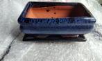 Bonsai Pot Schaal Blauw geglazuurd + Onderzetter 14x9x4,5cm, Vierkant, Ophalen of Verzenden, Zo goed als nieuw, Minder dan 25 cm