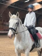 Verzorgpony gezocht, Ophalen of Verzenden