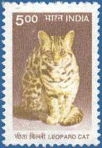 INDIA 1 - Dieren: zoogdieren (bengaalse tijgerkat), Ophalen of Verzenden, Postfris, Dier of Natuur