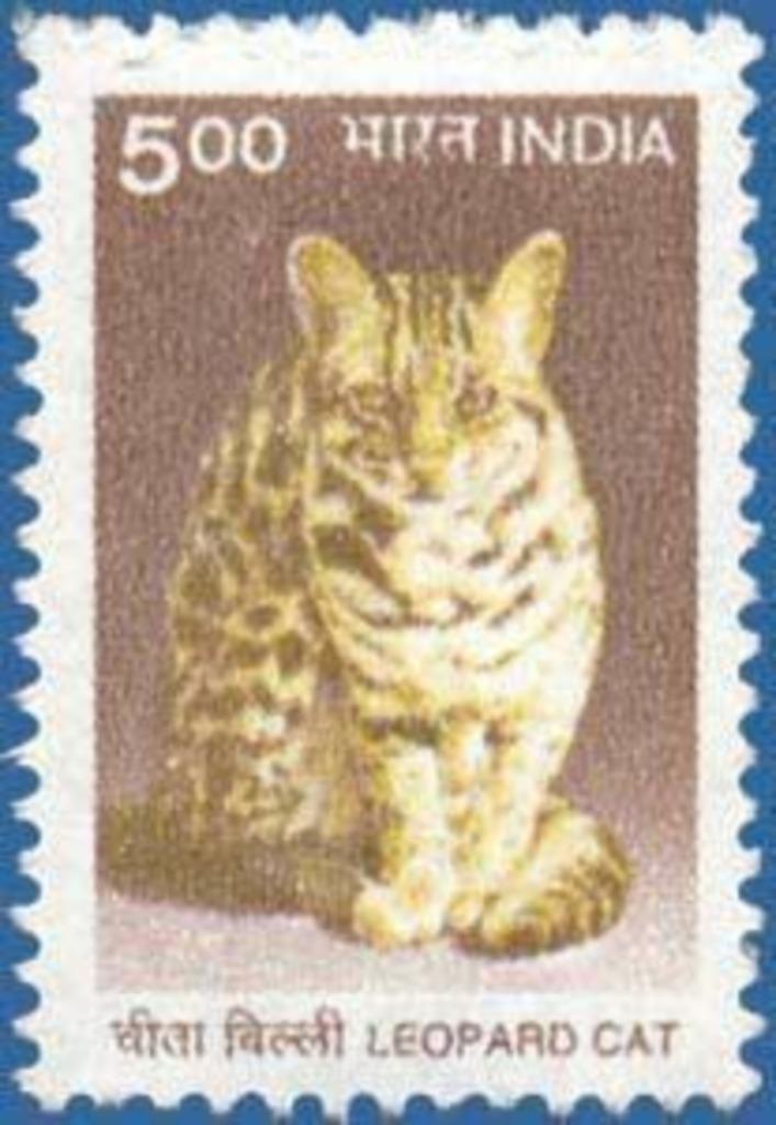 INDIA 1 - Dieren: zoogdieren (bengaalse tijgerkat), Postzegels en Munten, Postzegels | Thematische zegels, Postfris, Dier of Natuur