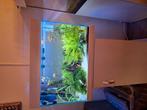 Superfish aqaurium, Dieren en Toebehoren, Vissen | Aquaria en Toebehoren, Ophalen, Leeg aquarium