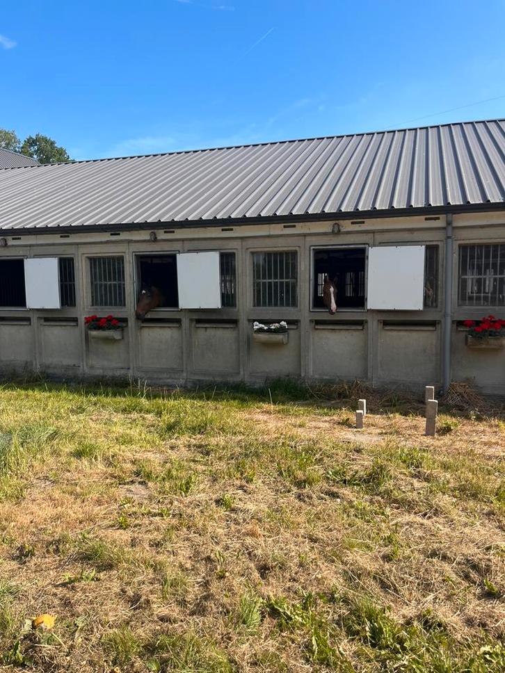 Fijne pensionstalling aangeboden in Dronten, Dieren en Toebehoren, Stalling en Weidegang, Stalling, 4 paarden of pony's of meer