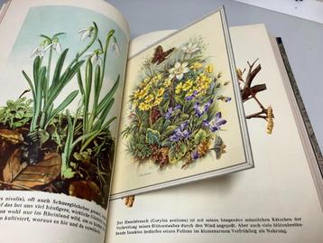 Urania uber Natur und gesellschaft Jahrgang 1954 beschikbaar voor biedingen