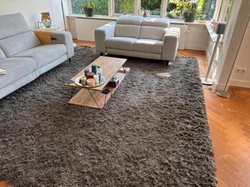 Groot Vloerkleed - 300x380 cm beschikbaar voor biedingen