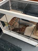 Hamsterkooi, Kooi, Minder dan 75 cm, Hamster, Ophalen