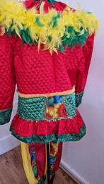 Kleurrijke prijswinnende carnavalspakken grote groep, Kleding | Dames, Carnavalskleding en Feestkleding, Carnaval, Kleding, Gedragen