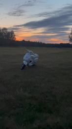 Vespa lx50 snel, Fietsen en Brommers, Scooters | Vespa, Ophalen of Verzenden