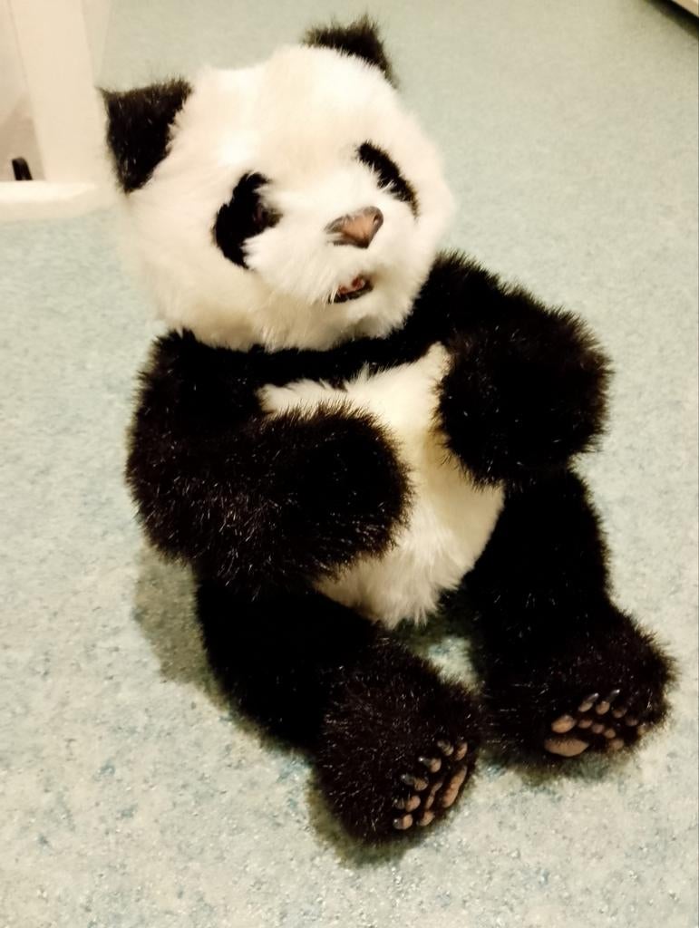 Panda FurReal Friends. Pandabeer, Ophalen of Verzenden, Nieuw
