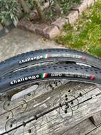 Challenge grifo cyclocross buitenband, Ophalen of Verzenden, Gebruikt