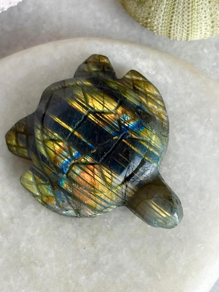 Labradoriet schildpad, Verzamelen, Mineralen en Fossielen, Ophalen of Verzenden