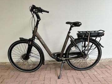 Stella Livorno Dames dark grey 58cm 2022 beschikbaar voor biedingen