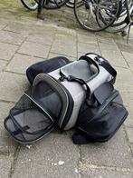 Reistas hond, Dieren en Toebehoren, Ophalen