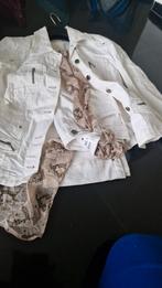Jas en broek set - Maat 36, Kleding | Dames, Jasjes, Kostuums en Pakken, Kostuum of Pak, Wit, Biba, Ophalen of Verzenden