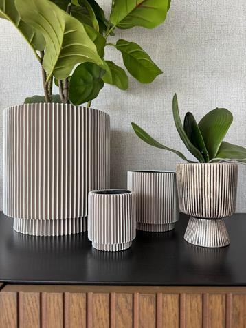 Bloempot set beschikbaar voor biedingen