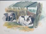 Aquarel Kalfjes Willy & Elsje - Gesigneerd Bernhard, Antiek en Kunst, Kunst | Tekeningen en Foto's, Ophalen of Verzenden