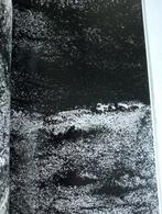 Patrick Huse - Nordiske Landskap, Verzenden, Zo goed als nieuw, Patrick Huse