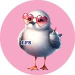 L284 luxe icing meeuw 20cm eetbare taart print plaat, Ophalen of Verzenden, Nieuw, Taarten, Versiering