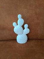 Cactus vaas, Ophalen, Zo goed als nieuw