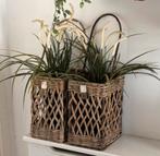 2 Riviera Maison rattan windlichten met kunstplanten, Huis en Inrichting, Ophalen, Zo goed als nieuw, Overige materialen, Minder dan 25 cm