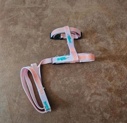 NIEUW Roze Volwassen Kattentuigje maat verstelbaar + Riem, Dieren en Toebehoren, Katten-accessoires, Nieuw, Ophalen of Verzenden