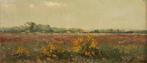 W J Weissenbruch(1864) Olieverf paneel"Heide met bloemen"Ges, Antiek en Kunst, Kunst | Schilderijen | Klassiek, Ophalen of Verzenden