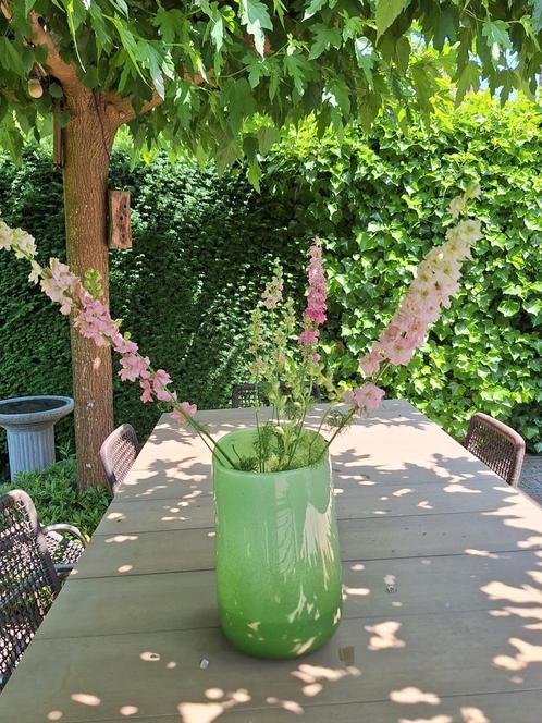 Dutz vaas ovaal, 30 cm hoog, doorsnede 25 bij 17 cm., Huis en Inrichting, Woonaccessoires | Vazen, Zo goed als nieuw, Groen, Minder dan 50 cm