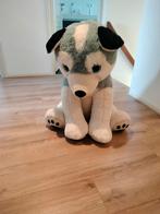 Grote Husky Knuffel - Zo Goed Als Nieuw!, Kinderen en Baby's, Speelgoed | Knuffels en Pluche, Ophalen, Zo goed als nieuw, Hond