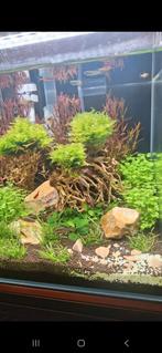 Superfish qube 25, Dieren en Toebehoren, Vissen | Aquaria en Toebehoren, Ophalen, Zo goed als nieuw