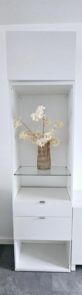MOOIE HOOGGLANS BESTA KAST/ VITRINE 