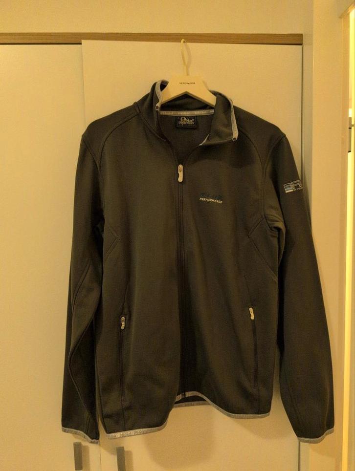 Peak Performance Vest - Maat L, Kleding | Dames, Truien en Vesten, Zo goed als nieuw, Maat 42/44 (L), Grijs, Ophalen of Verzenden