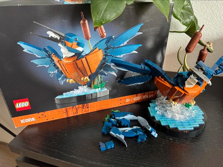 Lego 10331 ijsvogel, Kinderen en Baby's, Speelgoed | Duplo en Lego, Zo goed als nieuw, Ophalen of Verzenden
