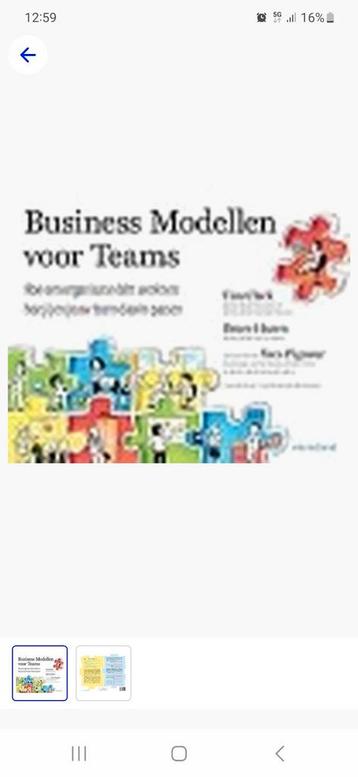 Bruce Hazen - Business modellen voor teams beschikbaar voor biedingen