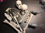 Skelet onderdelen en ratten., Ophalen of Verzenden, Gebruikt, Versiering, Halloween of Griezel