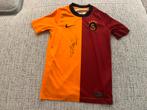 Gesigneerd Ryan Donk Shirt - Galatasaray, Ophalen of Verzenden, Zo goed als nieuw, Shirt